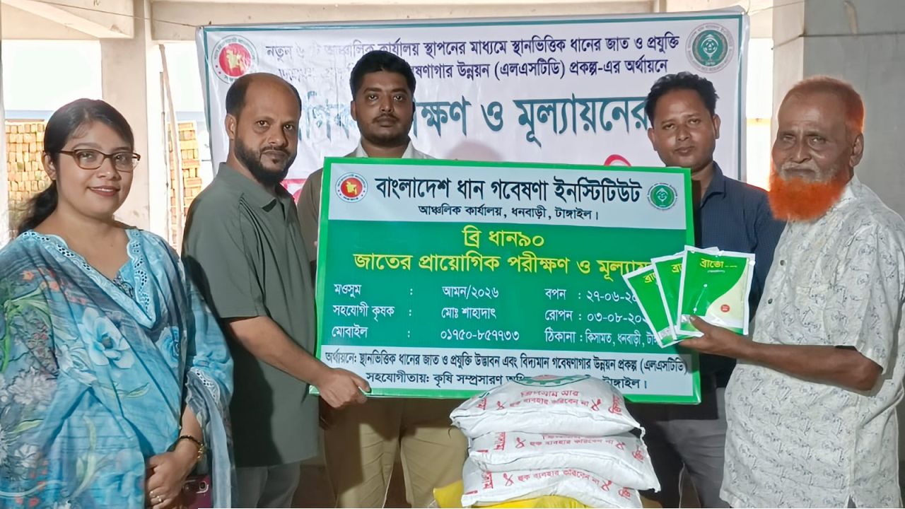 টাংগাইলের ধনবাড়ীতে কৃষকদের মাঝে আমন মৌসুমের কৃষি উপকরণ বিতরণ