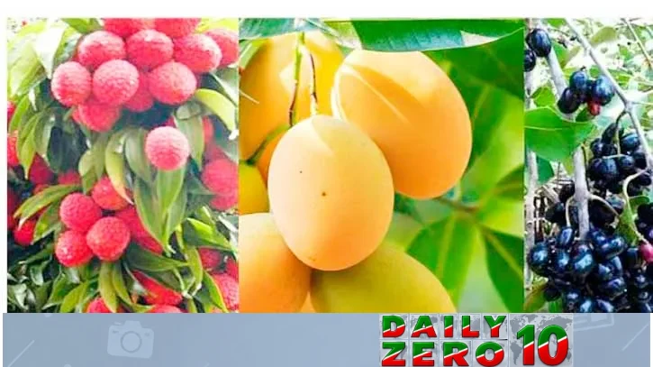 গ্রীষ্মের সুস্বাদু ফল ও পুষ্টিগুণ