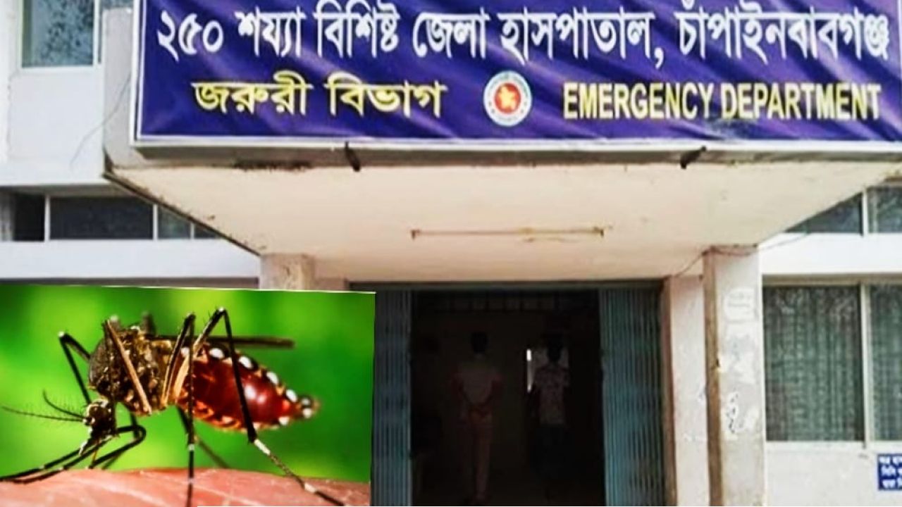 চাঁপাইনবাবগঞ্জে ২৪ ঘণ্টায় নতুন ডেঙ্গু রোগী ৪৯, হাসপাতালে ভর্তি ৯১