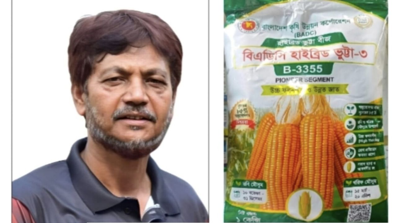 বিএডিসির ভুট্টাবীজে অনিয়মের অভিযোগ: ১৭৮ টনের মজুত কীভাবে ২৬৩ টন, তদন্তের দাবি